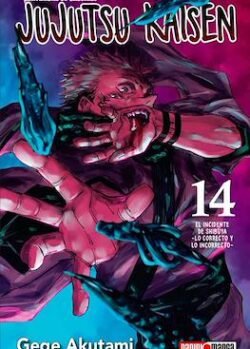 JUJUTSU KAISEN 14