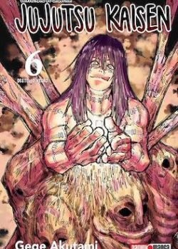 JUJUTSU KAISEN 06