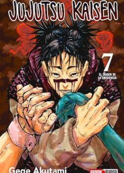 JUJUTSU KAISEN 07
