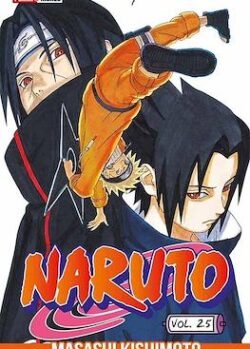 NARUTO # 25