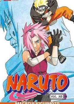 NARUTO # 30