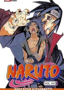 NARUTO # 43