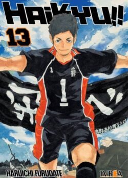 HAIKYU!! 13
