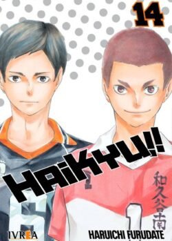 HAIKYU!! 14