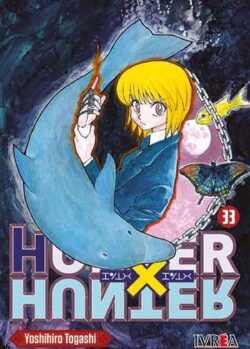hunterxhunter 33