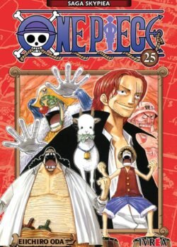ONE PIECE 25