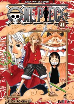 one piece 41