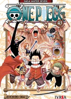 ONE PIECE 43