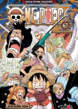 ONE PIECE 67