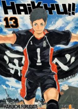 HAIKYU!! 13