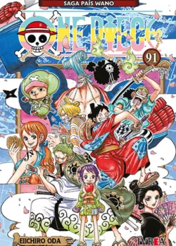 ONE PIECE 91